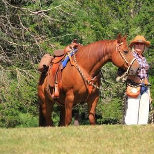 Meet your Posher, Gail